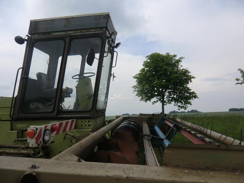 bilder/8_6_2013/CIMG7817.jpg