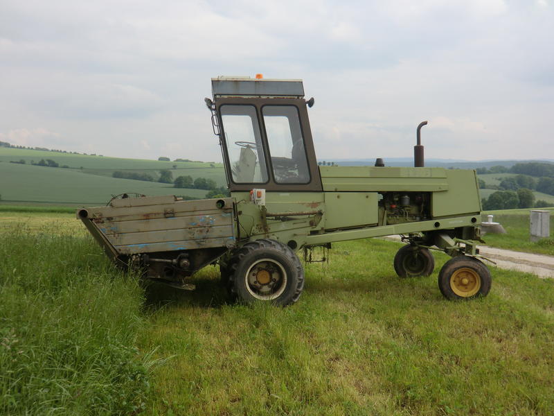bilder/8_6_2013/CIMG7819.jpg