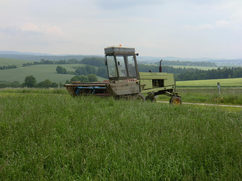 CIMG7820.jpg