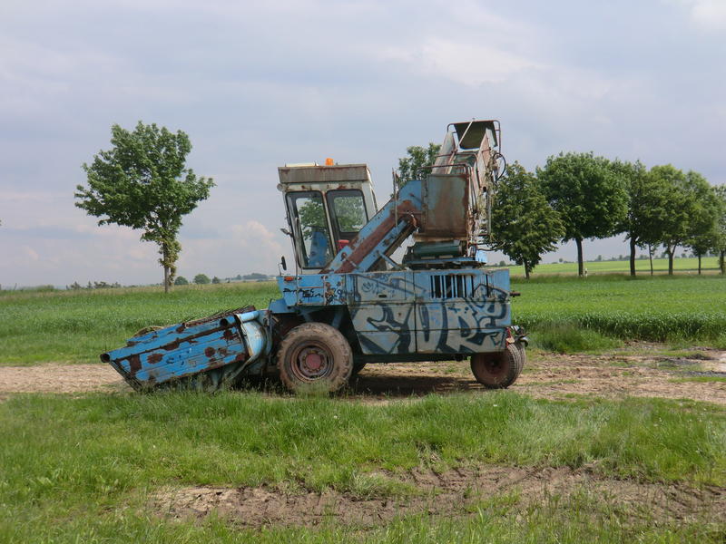CIMG7822.jpg