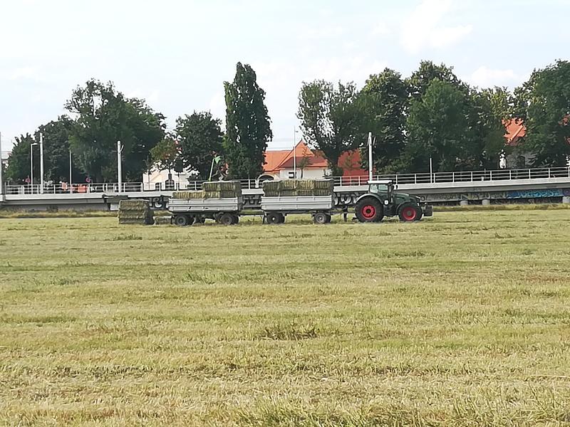 bilder/8_6_2018/IMG_20180608_170055.jpg