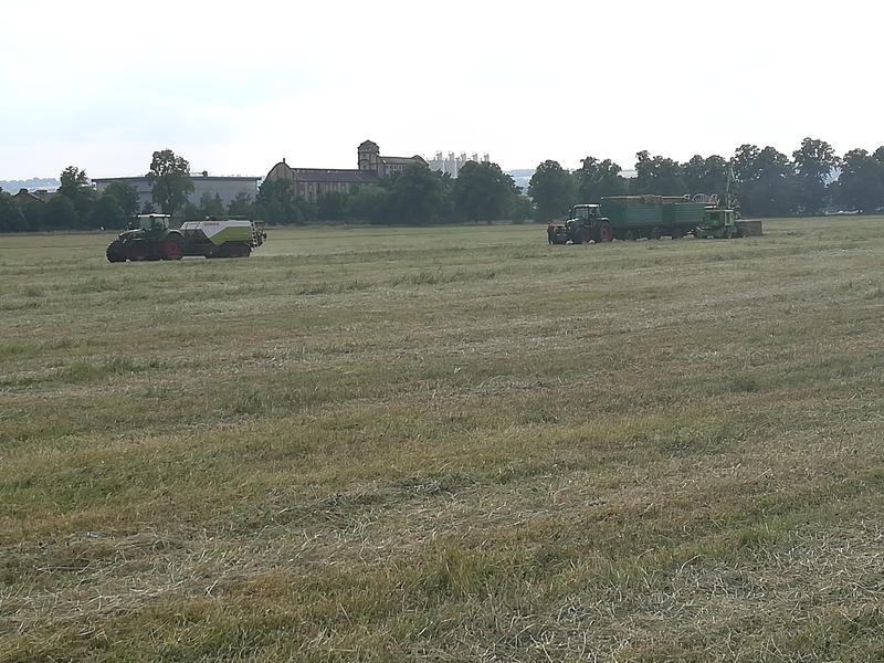 bilder/23_4_2011/CIMG1791.jpg