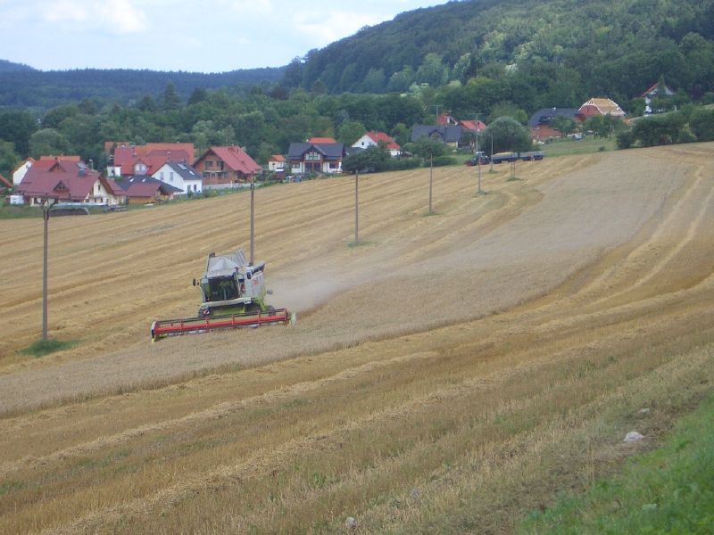 bilder/8_8_2006/IMGP3998.jpg