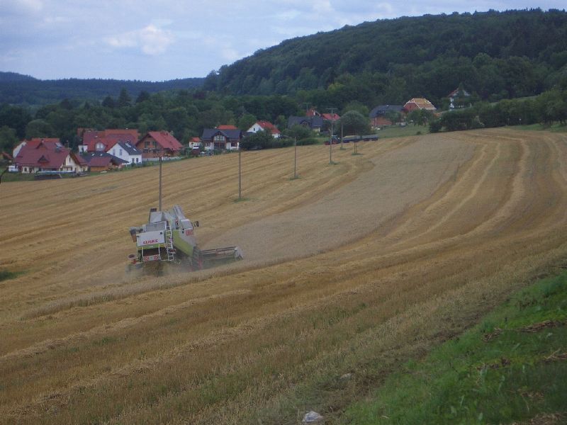 IMGP4004.jpg