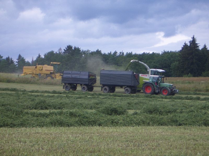 bilder/22_8_2002/mega.jpg