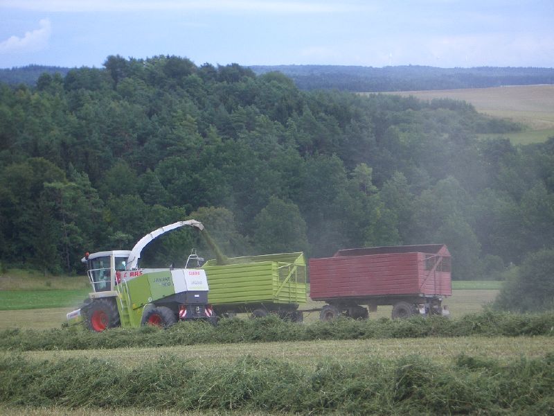 bilder/28_7_2003/zt_303_6.jpg