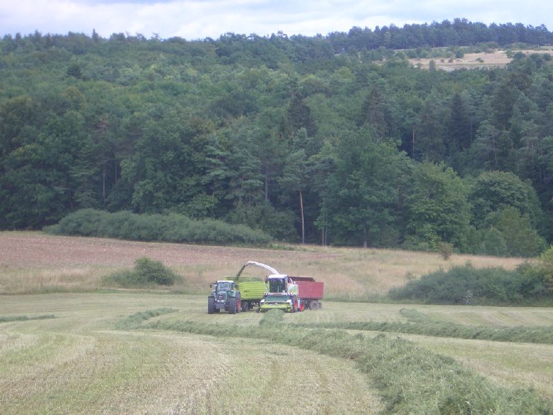 IMGP4085.jpg
