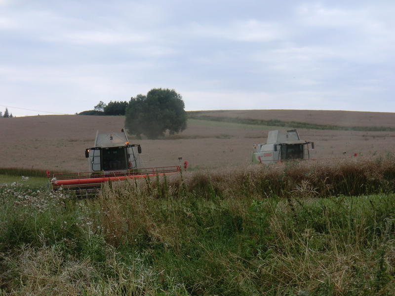 CIMG8672.jpg