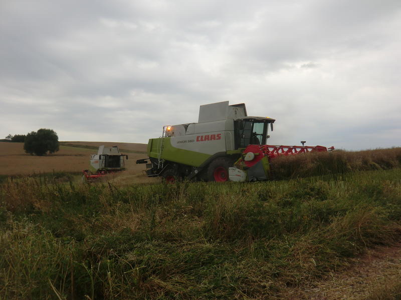 CIMG8674.jpg