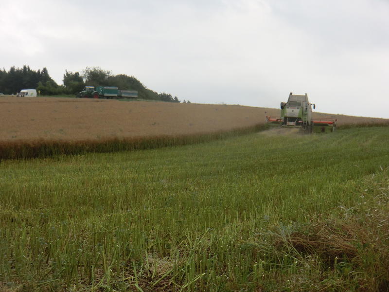 CIMG8683.jpg
