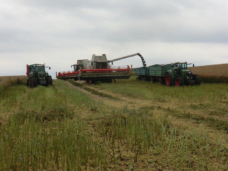 CIMG8684.jpg