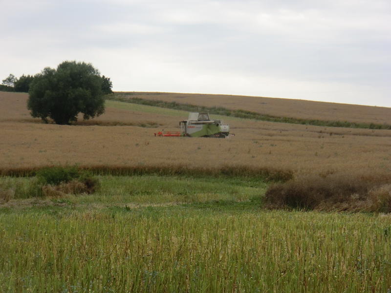 CIMG8687.jpg