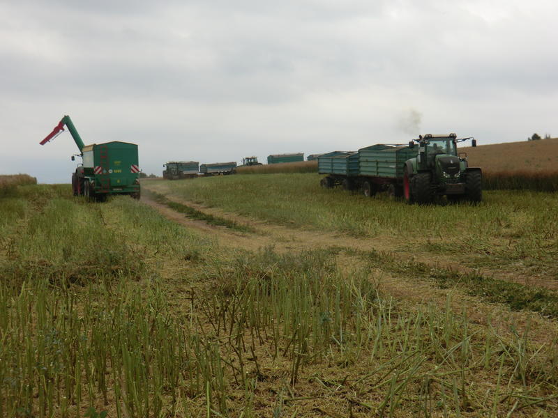 CIMG8689.jpg
