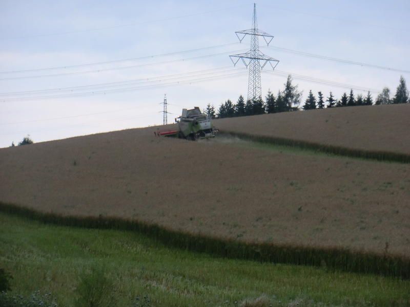 bilder/22_9_2022/DSC03659.jpg