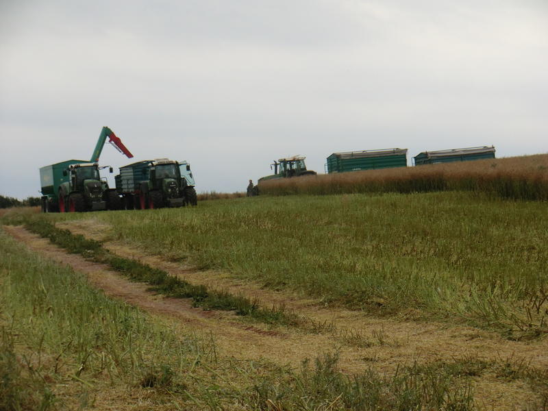 CIMG8691.jpg
