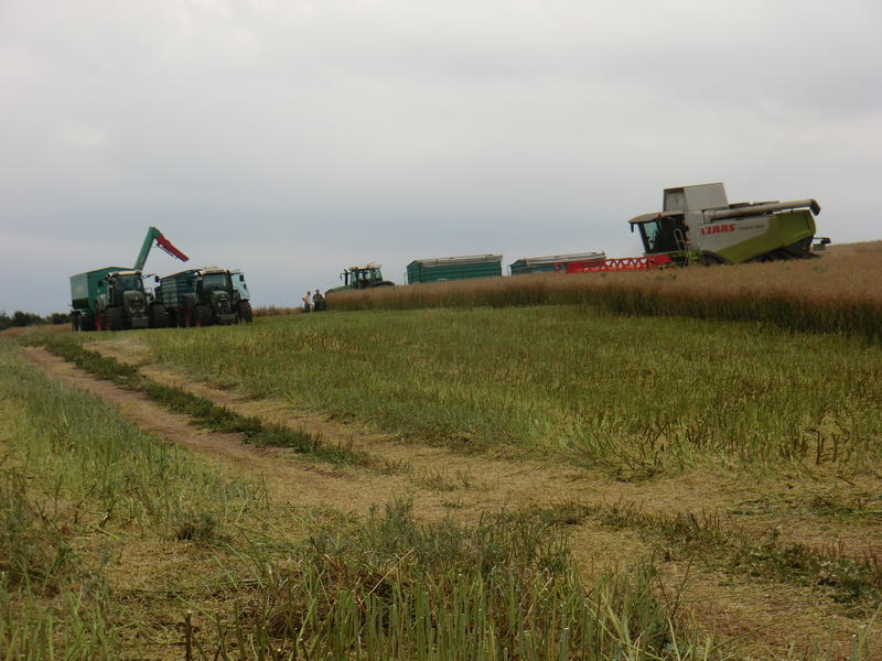 bilder/8_8_2013/CIMG8694.jpg