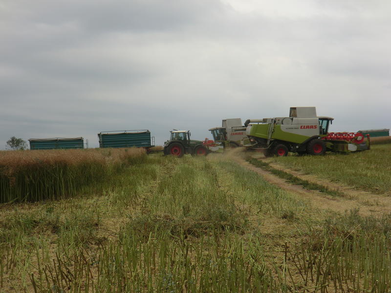 CIMG8700.jpg