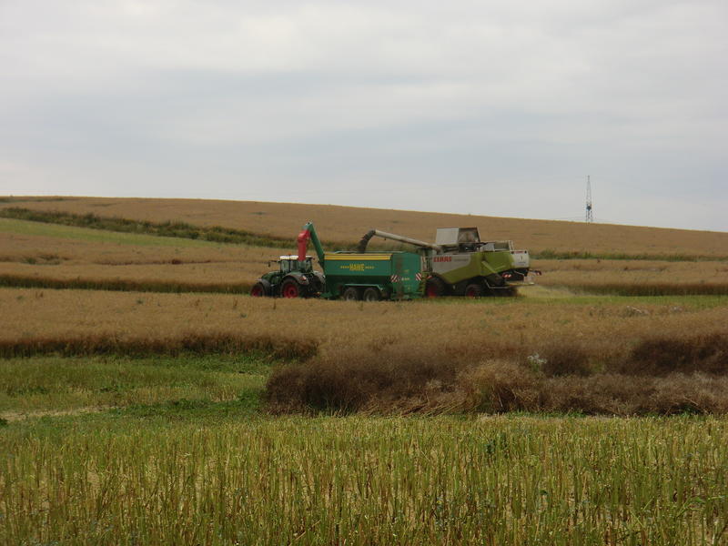 CIMG8701.jpg