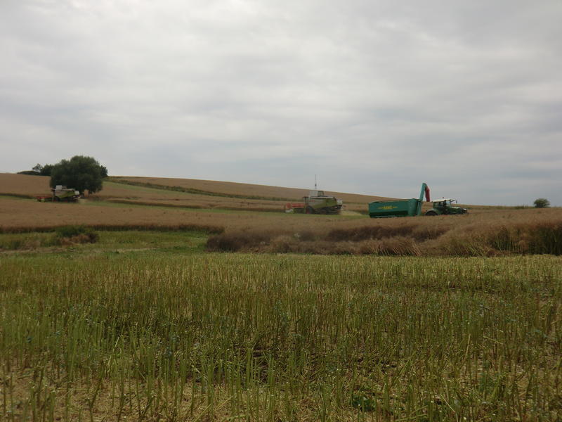 CIMG8703.jpg