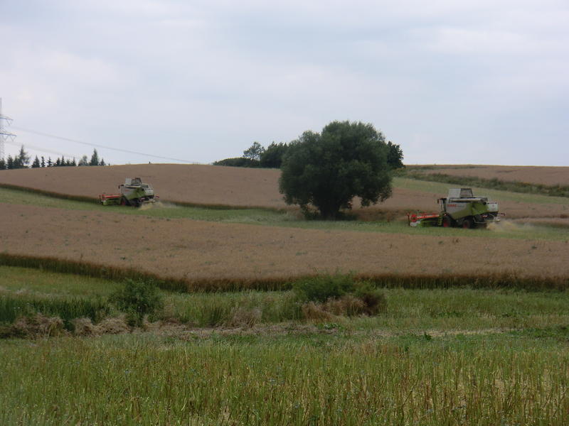CIMG8704.jpg
