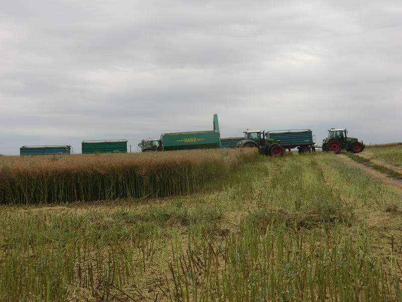 CIMG8705.jpg