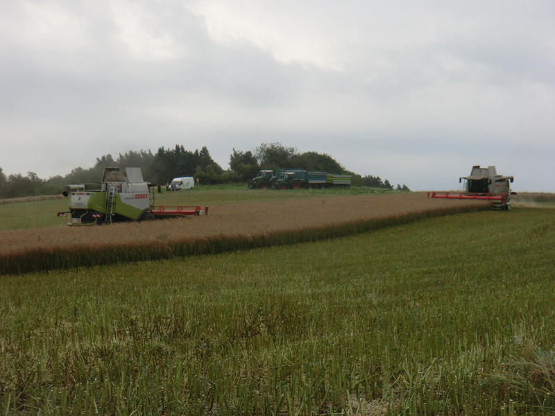 bilder/8_8_2013/CIMG8721.jpg