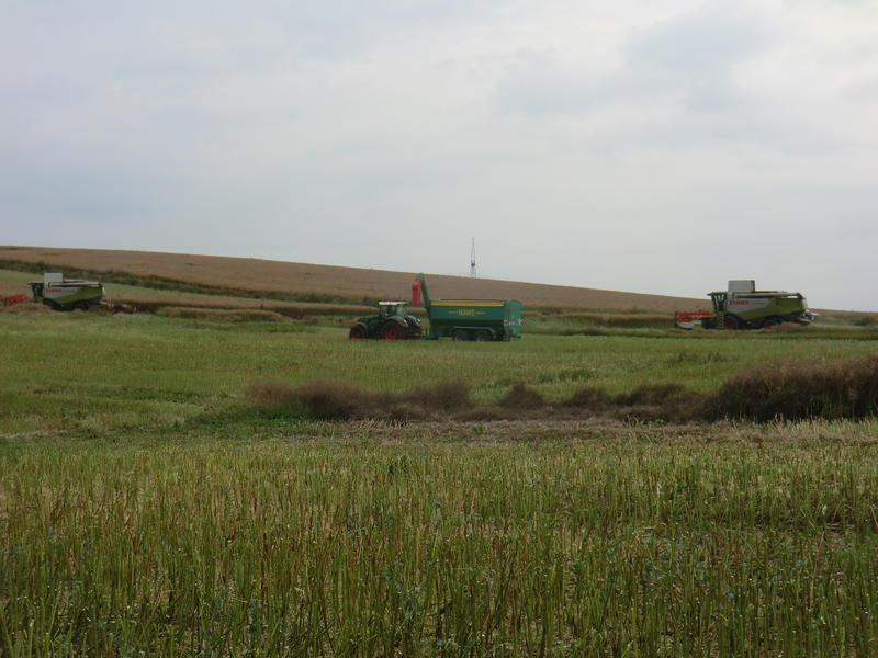 CIMG8731.jpg