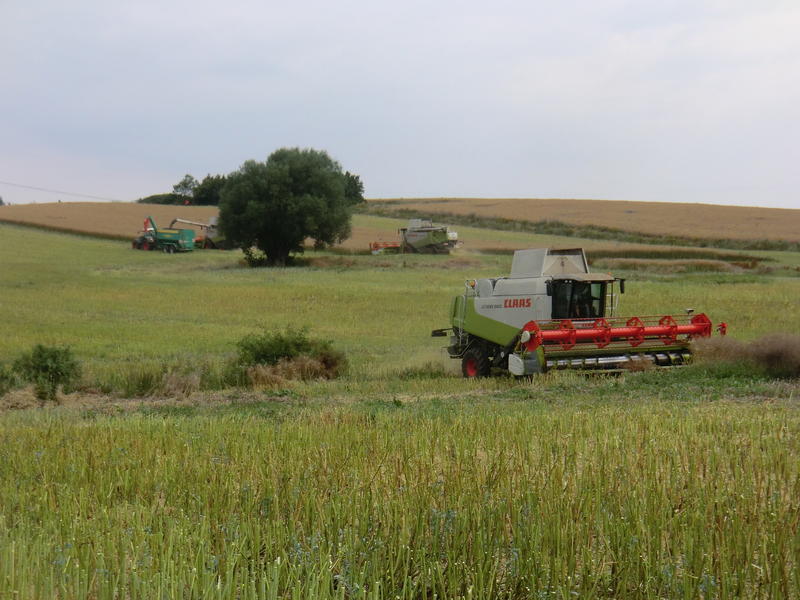 CIMG8734.jpg