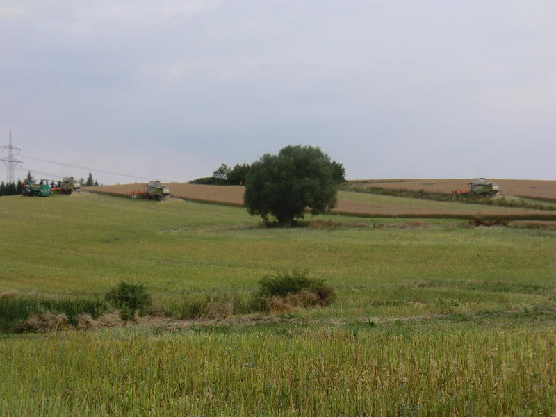 bilder/8_8_2013/CIMG8739.jpg
