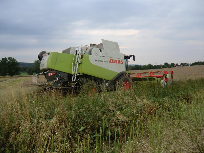 bilder/8_8_2013/CIMG8742.jpg