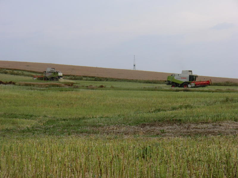 bilder/8_8_2013/CIMG8746.jpg