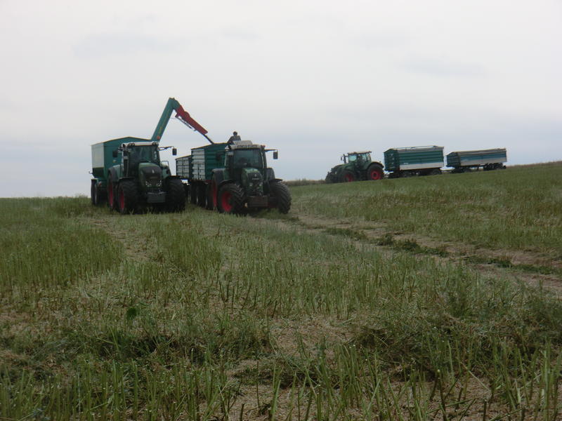CIMG8747.jpg