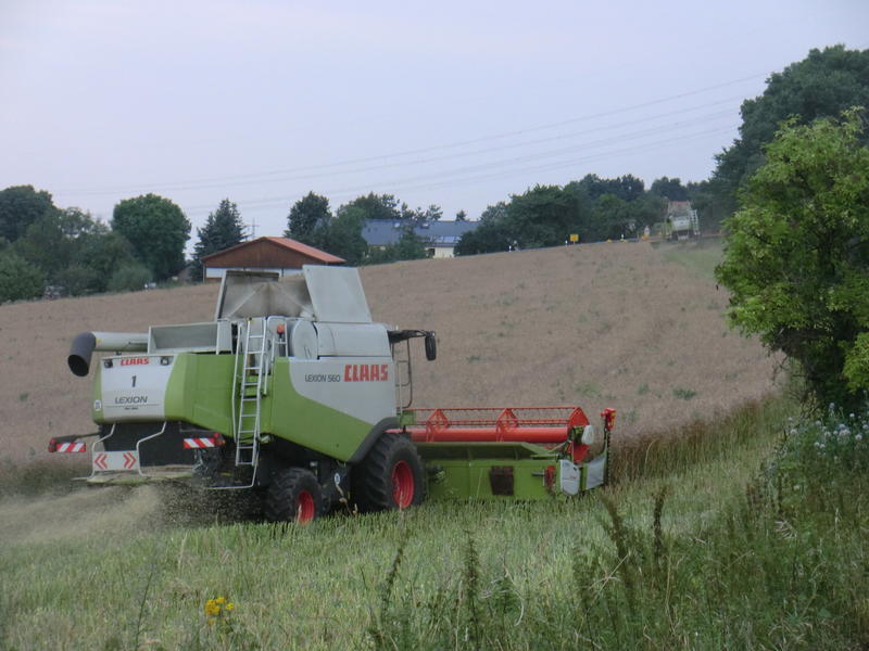 CIMG8753.jpg