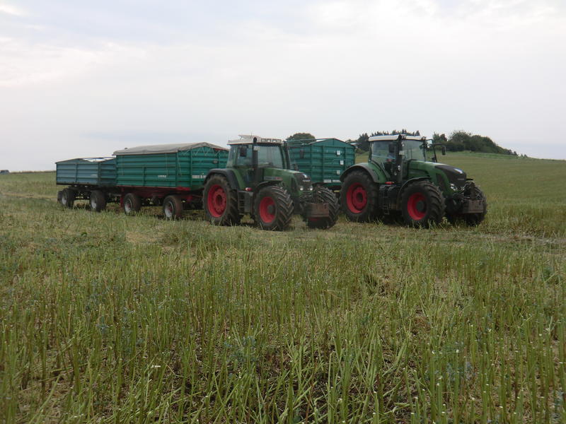 bilder/8_8_2013/CIMG8763.jpg