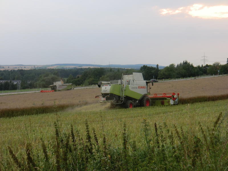 CIMG8764.jpg