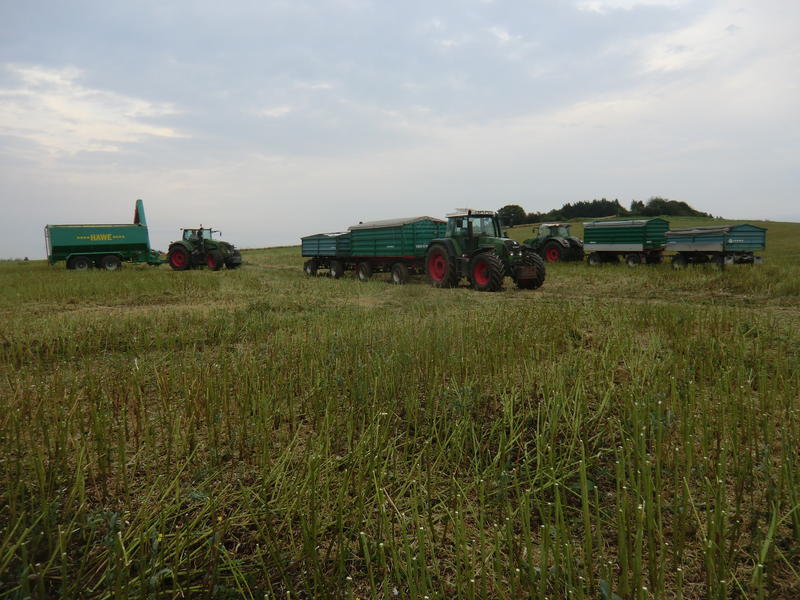 CIMG8768.jpg
