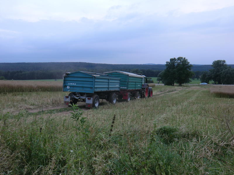 bilder/8_8_2013/CIMG8770.jpg