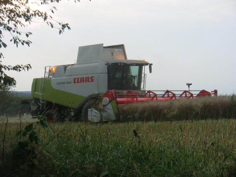 CIMG8780.jpg