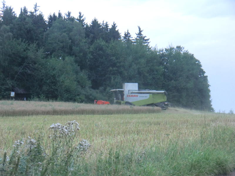 bilder/8_8_2013/CIMG8788.jpg