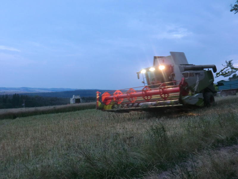 bilder/8_8_2013/CIMG8805.jpg