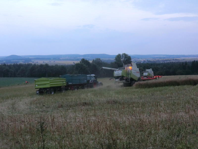 CIMG8809.jpg