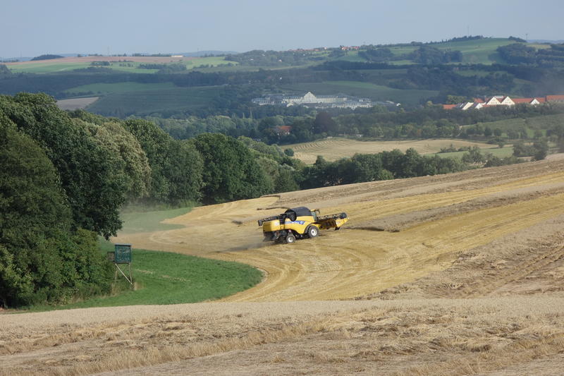 bilder/16_7_2014/CIMG7248.jpg