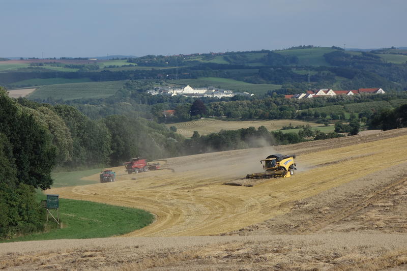 bilder/30_6_2020/DSC09579.jpg