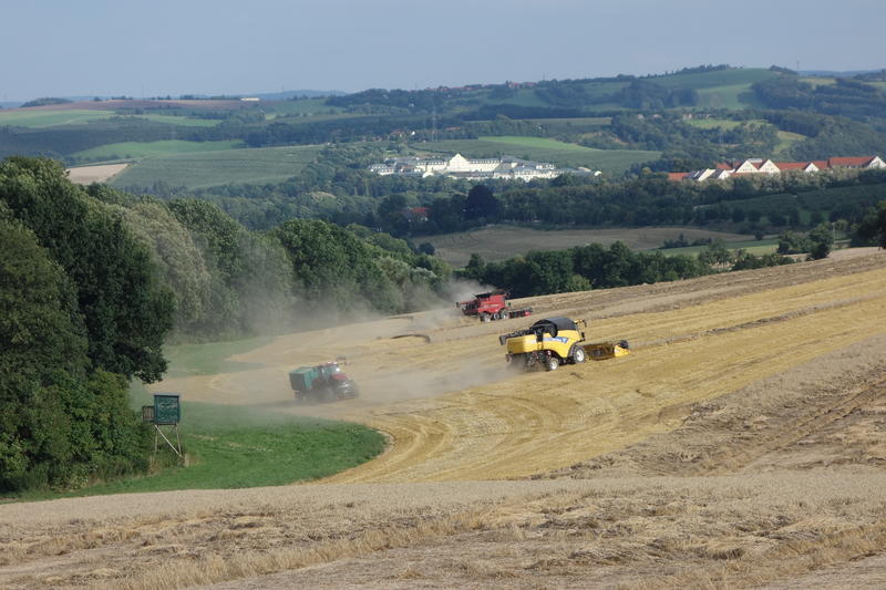 bilder/30_7_2003_2/fendt_2.jpg