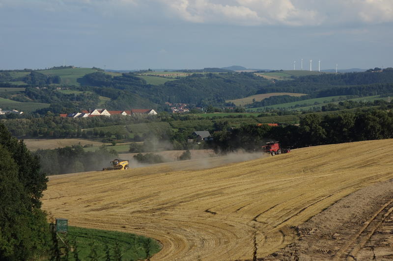 bilder/8_8_2016/DSC05273.jpg