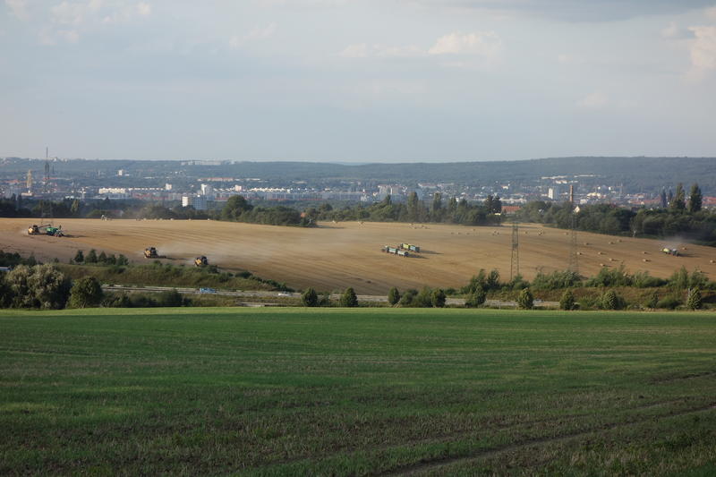 DSC05277.jpg