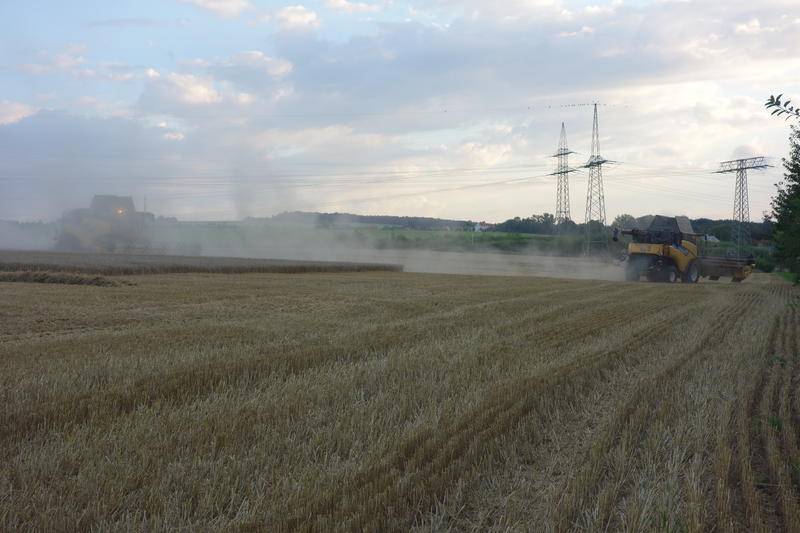 bilder/2_4_2003/terra_gator_3.jpg