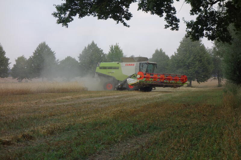 bilder/2_4_2003/terra_gator_3.jpg