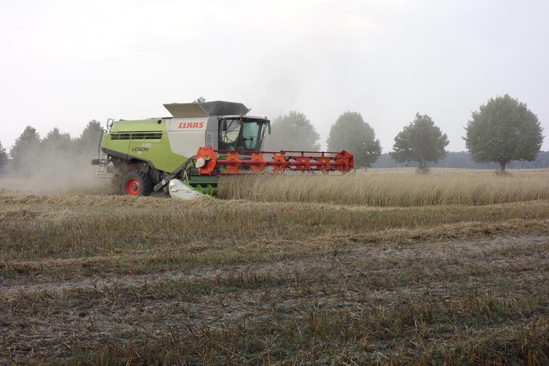 bilder/22_8_2002/lexion_23.jpg
