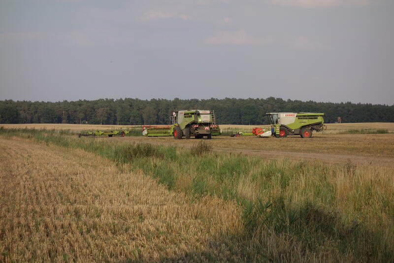 DSC09787.jpg